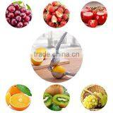 Power Press Lemon Squeezer Manual Hand Press Citrus Juicer From Fruit or Vegetables With High Strength Kitchen thumbnail-6