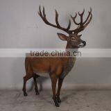 Red Deer Stag thumbnail-4