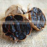Superior Quality Good Price China Black Garlic thumbnail-1