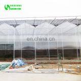 Agriculture Greenhouse, Polycarbonate Greenhouse With Black-out System for Medical Planting thumbnail-5