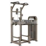 2020 Hot Sale Dip Assist Dhz E5009 Fitness Gym Machine For Club Center thumbnail-2