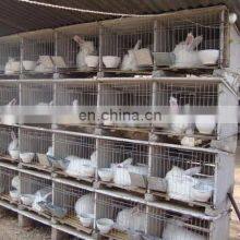 High Quality Galvanized Welded Rabbit Cage Wire Mesh/High Quality Rabbit Cage/Rabbit Farming Cage thumbnail-1