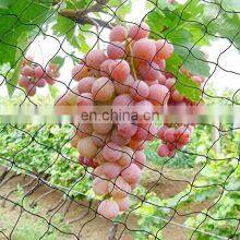 Hot Sale The Best Knitted Anti Bird Netting thumbnail-4