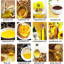 Cold Hydraulic Walnut Avocado Coconut Linseed Oil Processing Machine Oil Extractor Oil Making Machine Oil Press Machine thumbnail-3