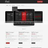 Software Development Services India thumbnail-2