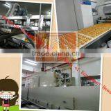 Hot Sale & Best Quality Pingles Potato Chips Making Machine thumbnail-2