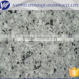 Large supply Chinese high quality cheap pearl blueganite tiles Countertops