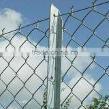 Galvanised /PVC Coated Chain Link Fence