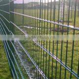 PVC Iron Double Wire Fence
