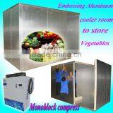 Cool Room to Store Fruits and Vegetables (5 Celsius Degree)
