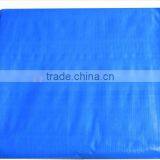 Tarpaulin High Quality PE Tarpaulin Manufacturer in China thumbnail-2