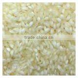 Non basmati rice High Quality