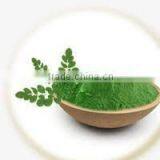 ISO Certified Moringa Leaf Powder Pure Moringa Herbal Powder Bulk Moringa Powder