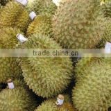 Fresh durian fruit for sale