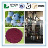 Blueberry Extract Powder Vaccinium Uliginosum L.with Anthocyanidins 5-25% ,Extract Ratio 5:1 and 10:1blueberry Fruit Powder thumbnail-1