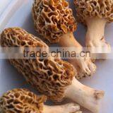 Detan Dried Morels ,whole ,slices, thumbnail-4