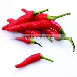Importad by Japanese 2016 Wholesale Chilli Pepper Seeds to Plant thumbnail-3