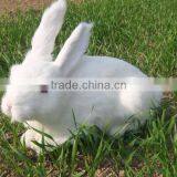 Easter Bunny Furry Animal Cheap Plastic Farm Animal Toy thumbnail-2