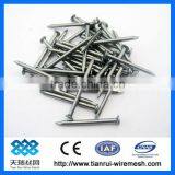 High Quality Black Common Iron Nails (factory) thumbnail-1