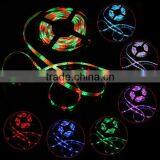 5M 3528 SMD RGB 300 LED Strip Light With Remote Control Waterproof IP65