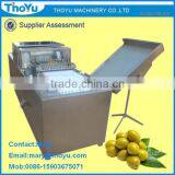 Olive Kernel Removing/ Seed Extracting Machine/ Separator/ Separating Machine(SMS: 0086-15903675071) thumbnail-1