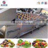 High Efficiency Dried Food Fruit Processing Machine thumbnail-6