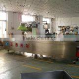 Rz 420 Automatic Continuous Vacuum Packaging Machine thumbnail-1