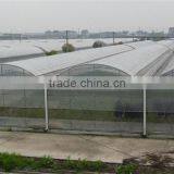 Professional Multi-Span Pvc Covered Greenhouse For Agricultural Planting thumbnail-2
