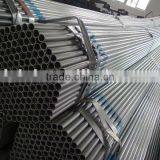 Pre Galvanzied Pipes for Cattle Fence thumbnail-1