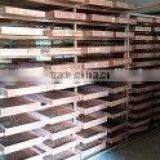 Dried Mealworms for Chicken Feed thumbnail-2