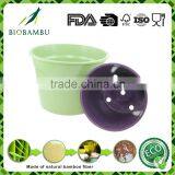 Welcome Biodegradable Affordable Plant Bamboo Pot Eco