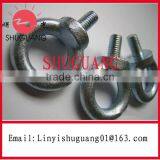 Best Electric Galvanized And Cheapest Din580 Eye Bolt thumbnail-1