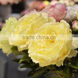 Single Stem Peony New Year Home Wedding Decor Factory Direct Sale thumbnail-3