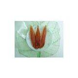 Sell Dog Food ( Dried Whole Chicken Breast) (China (Mainland)) thumbnail-1