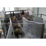 Pineapple Processing Line thumbnail-2