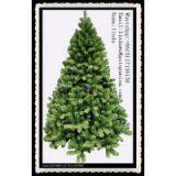 Indoor Christmas Trees