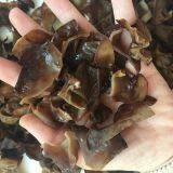 Factory Price Thin Dried White Back Black Wood Ear Fungus Mushroom Cubes (Dices) A Grade thumbnail-3