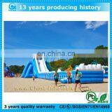 Funny Giant Inflatable Water Slide for Adult and Kids