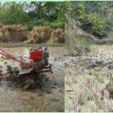 ] Farm Machine and Tools of Tillers and Cultivators thumbnail-4