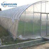 Waterproof Shed Plastic Clear Plastic Cover / uv Stabilized Polyethylene Greenhouse Film thumbnail-3