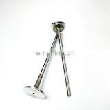Diesel Engine Spare Part Metal D5010339502 DCI11 Intake Valve thumbnail-2