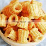 Automatic Continuous Fryer Made by Jinan Saixin Machinery Co., Ltd Hot Sale in 2019 thumbnail-4