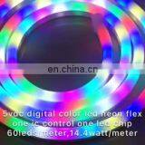 Hot Sale Neon Lights Dmx 24v 12v 5v Digital RGB Dream Color Led Neon Flex