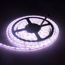 020 Side Emitting Led Rgb Strip Light IP65 Waterproof Led Strip