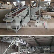 Walnut Crusher Machine Almond Shelling and Separating Machine thumbnail-3