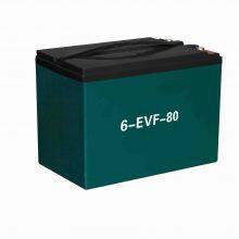 12v 60ah Electric Tricycle Batteries Lead Acid 6-EVF-60 Lead Plates Acid Positive Batteries Electric Vehicles CE Battery