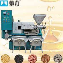 Pinienkerne Sojabohnenöl-Extraktionsanlage Palmkernölpresse Heiß- und Kaltölproduktionslinie für kleine Unternehmen