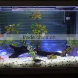 IP68 Waterproof Romantic Underwater Decorative Lights LED Point Light Source thumbnail-3