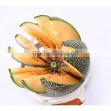 S/S+ABS+TPR 29*21*6.5Kitchen Gadgets Watermelon Slicer Corer thumbnail-5