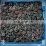 80% Black Mulberry IQF Mulberry with BRC